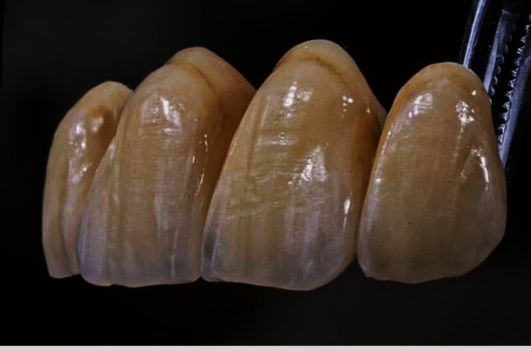 ARABIAN DENTAL LAB MANJERI